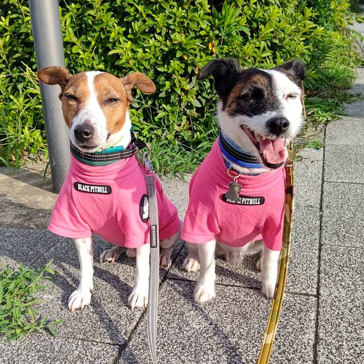 7125a247 f595 4561 a5c5 6c25c461834e 1688334402745