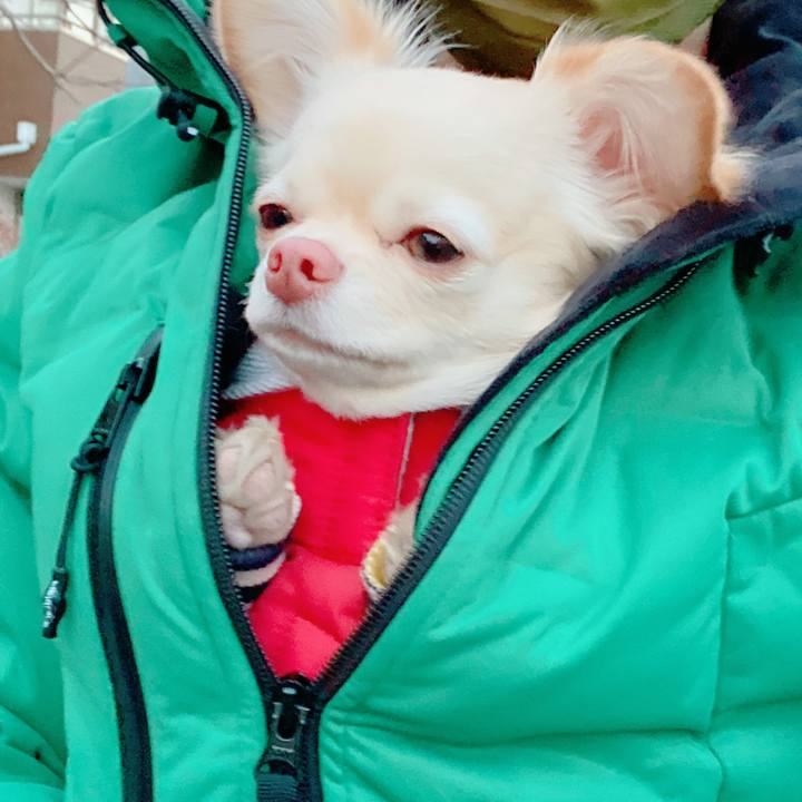 7125f0fc f7b8 4e75 bdcc 42cee0669a2f 1641551091131