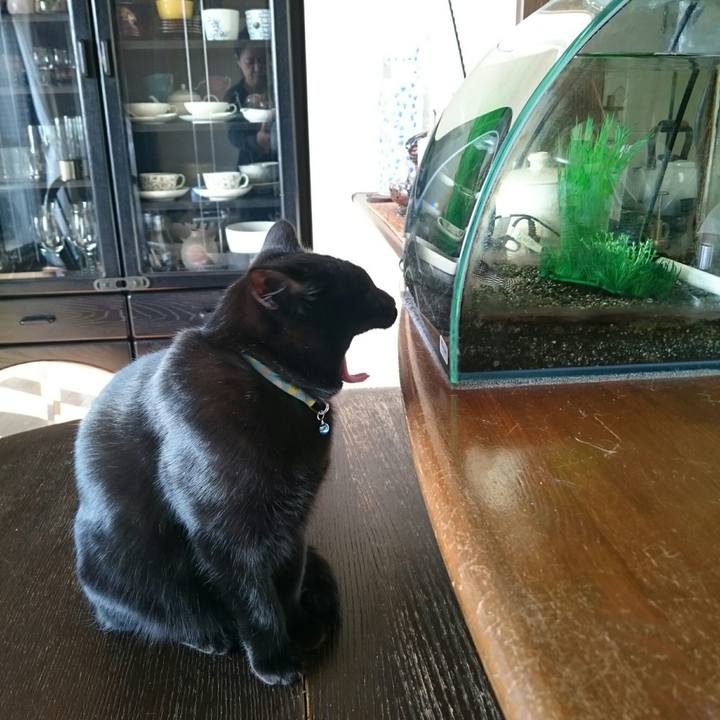 7125fdb1 d9e8 481b aa22 50e2f4a75e20 1517183253109