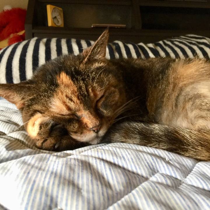 71261b80 205c 4490 a302 dcb3dcbdbf08 1597662752049