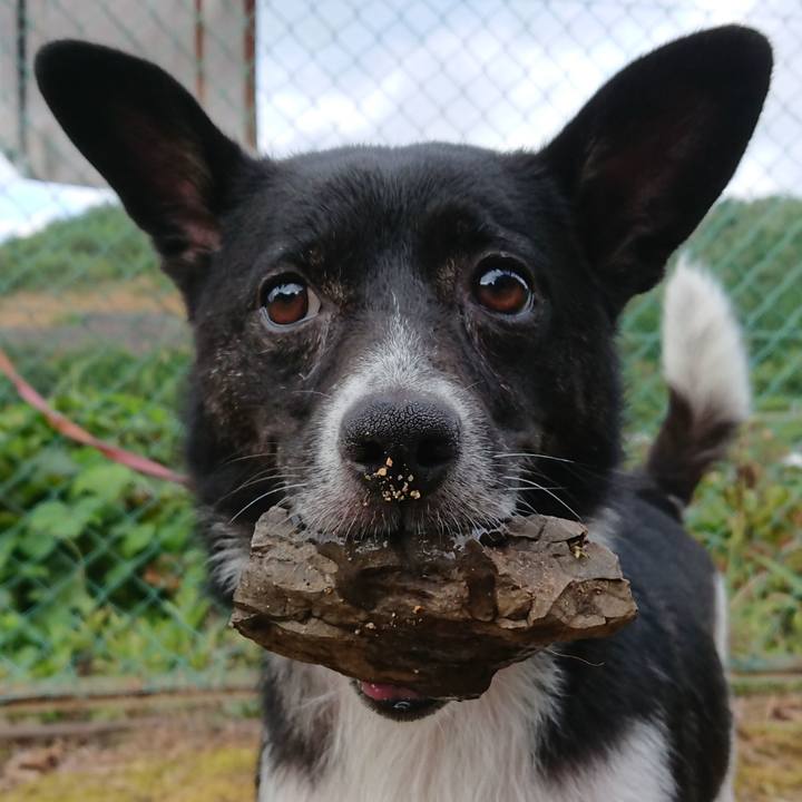 712640d0 2143 41de a71f 50e5b5d5822b 1532907009259