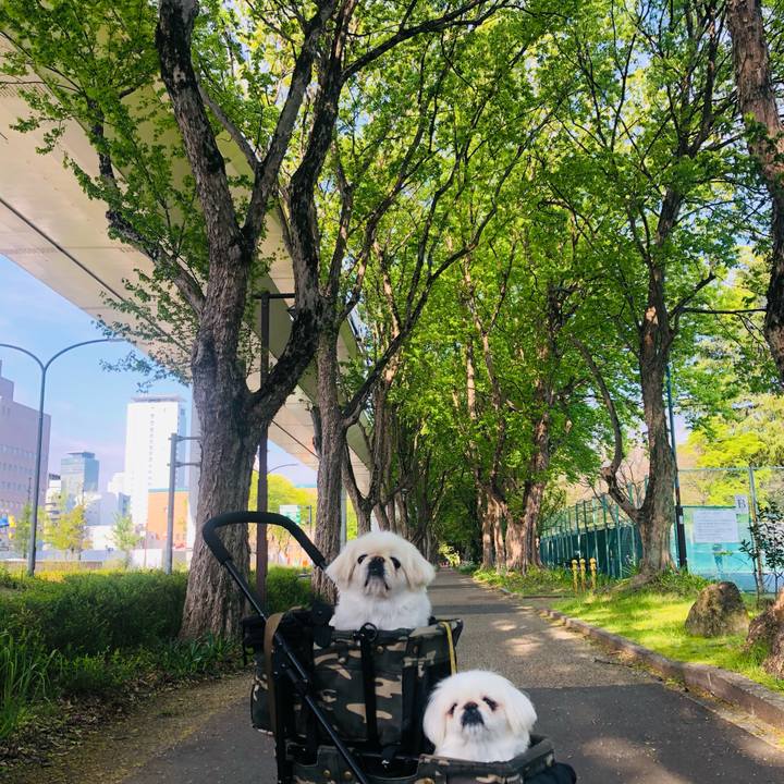 712650fc 51d0 4ffd a001 38c82e29d7bc 1618109261521