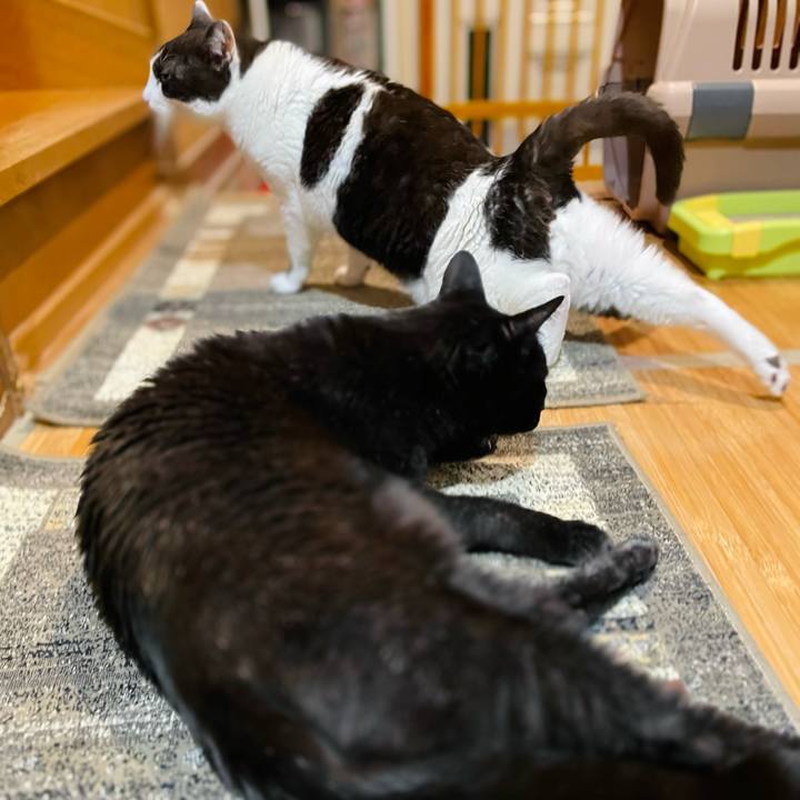 7126b63c bcda 4d2c a39e 7545e12ee29c 1653880409716