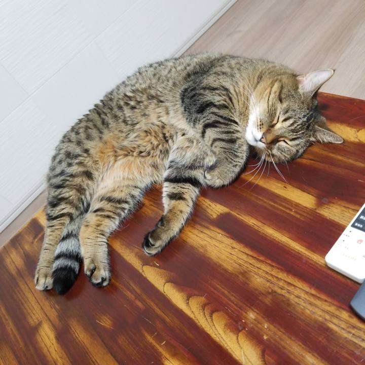 7126da99 6908 426f a58d 3e2f121a077b 1570743927232