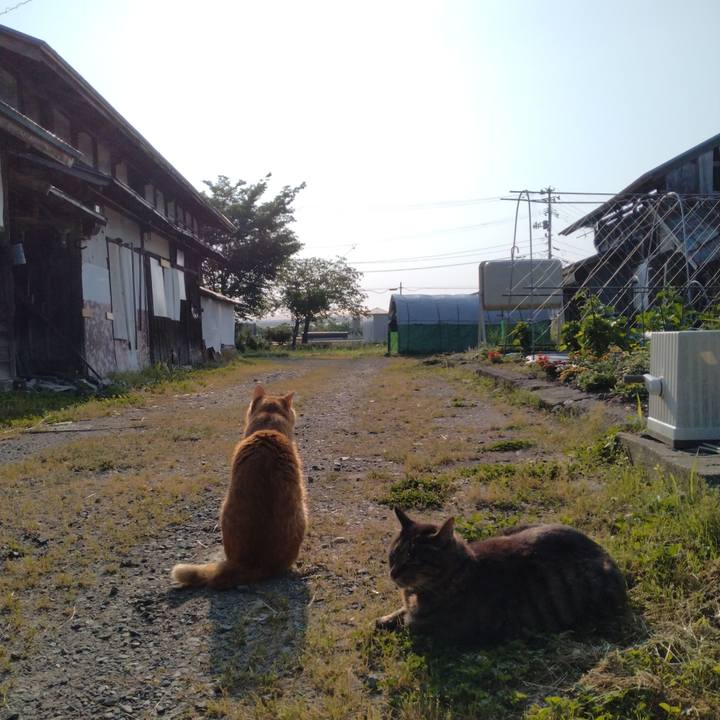 71271796 6a8e 4cdd b7b8 2dddfa40ba9b 1718143449315