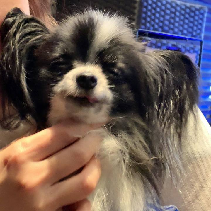 712717c2 8525 408b 9a07 cb79c05ef991 1563615120558