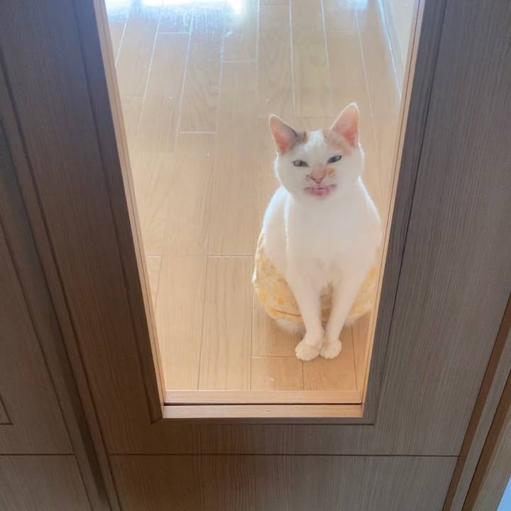 712732b8 d010 49aa b4d9 1f47c5ba1f60 1637712097228