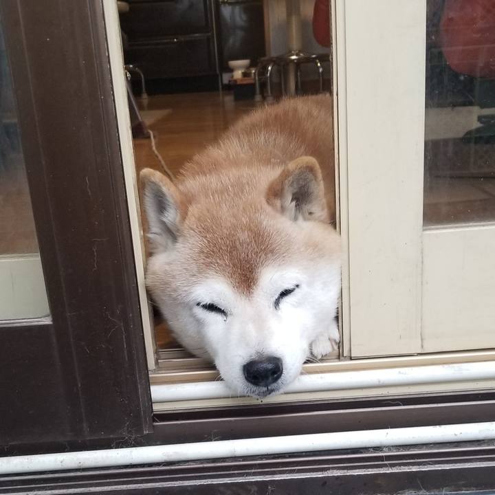 712768e4 7707 4a6a 828f 07b1b93fc197 1707605743908