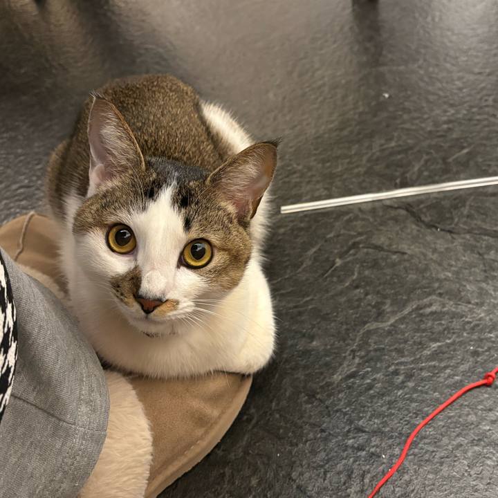 71276ad5 8967 4f12 a9c3 c6106ba89252 1774480730422