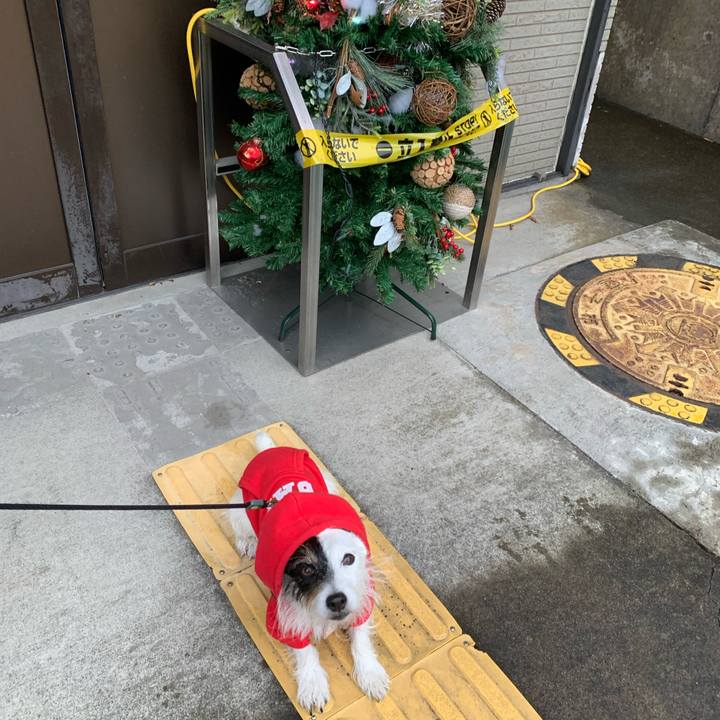 71276f4a 5a3d 413a b55c b857ec70015e 1670226403354