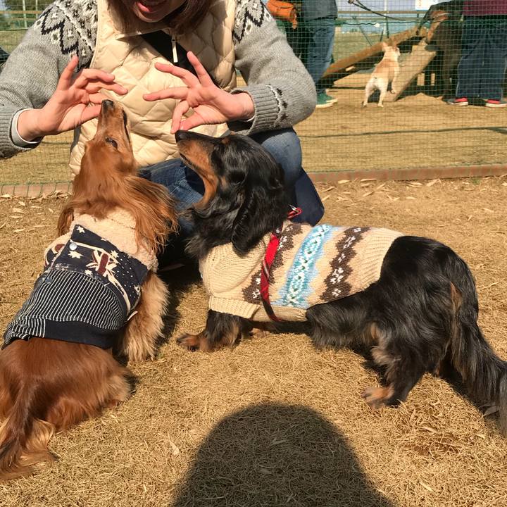 712773be 133f 468e ae39 e71dc518d258 1516519091202