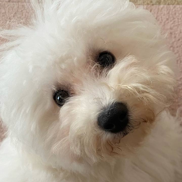 712796e1 6f02 4466 b7af e74425f9f29e 1748055046731