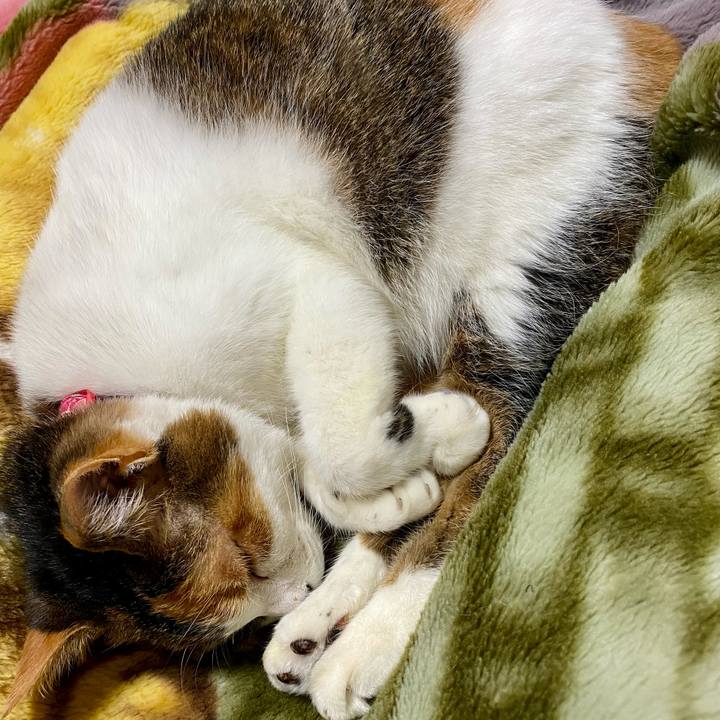 7127b713 5ba3 43cb 974a 957341a206b3 1606228614037