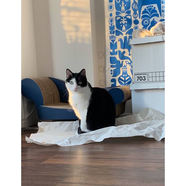 7127c6a0 a4ad 4b22 add4 9611fac337d0 1588779252089