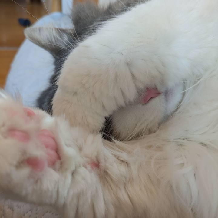 7127de1a 8369 490f b9c1 a9f5eedd3017 1774666963895