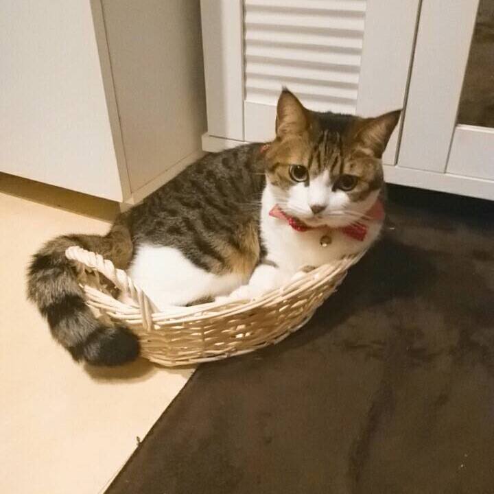 7127eef4 6069 43cb 85d1 a1b4f57098a5 1514772526272