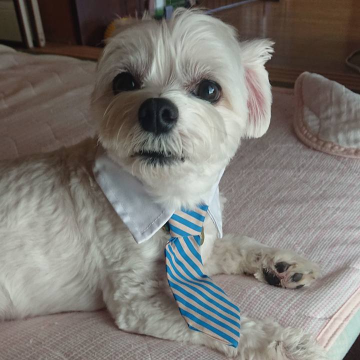 71280d89 b79a 4b36 a5c6 1b0990b4afe2 1600522124474