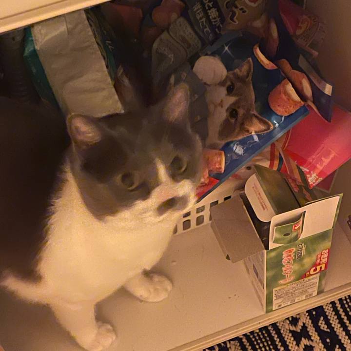 712811af afb3 4756 8162 7ca25e801fa9 1658589054485