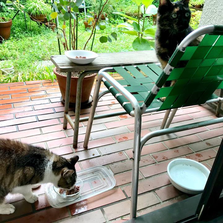 71283b8a b13f 4927 8a41 0e541a98ed1a 1530878579502