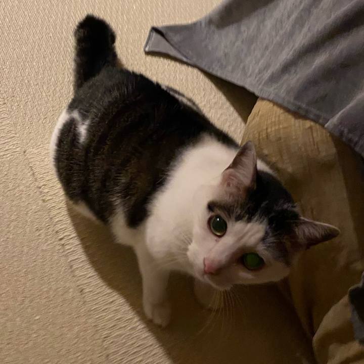 712840be d64a 4cc6 b0e4 22e538d0854d 1762272707307