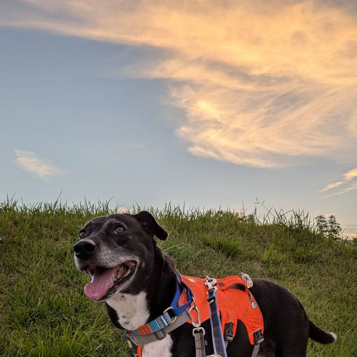 7128ba6c 47bf 4c3b 8fab 50aa42589b61 1753706624553