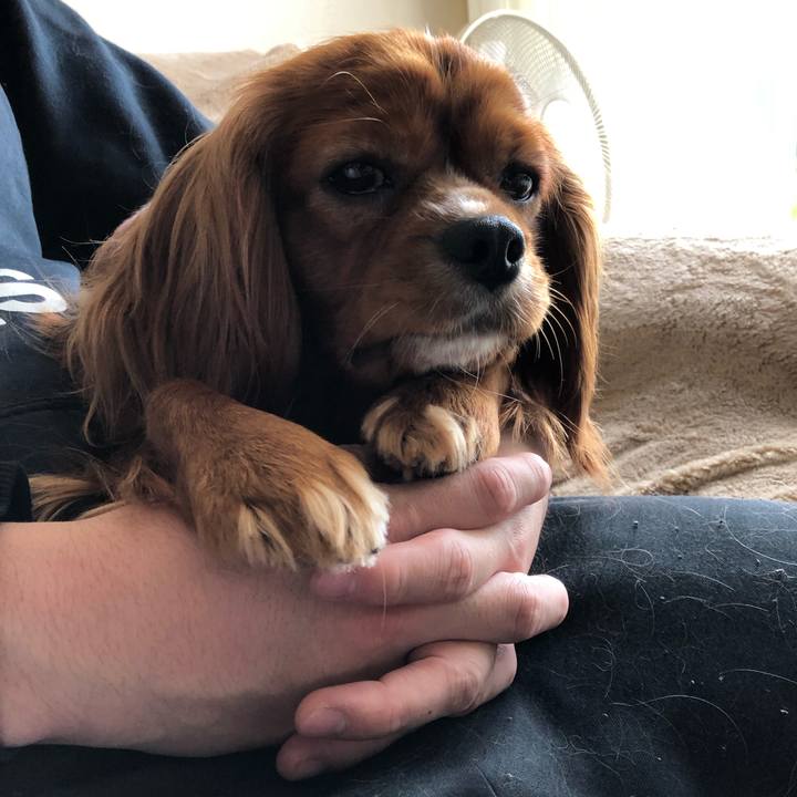 7128c92d add7 4238 8cfd 59a2d5b5954b 1556521726934