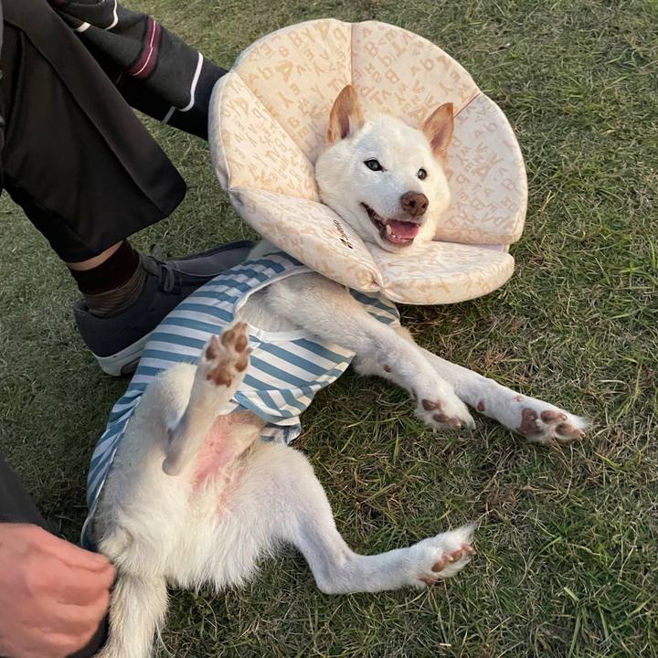 7128d981 a5b1 429a a410 6264e5674080 1667569950609