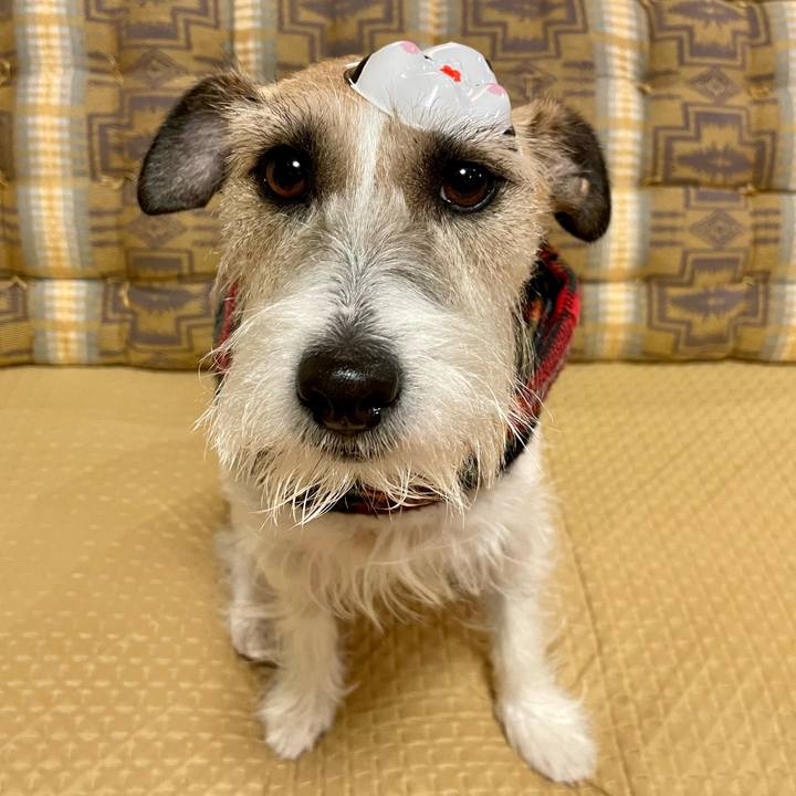 7128fa67 615b 4928 a615 38bb6abaa15e 1675425830868