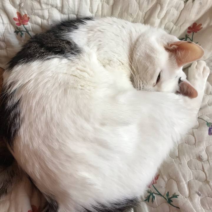 71290938 0a3c 4ec7 b9ba be9506a0e28c 1631599468813