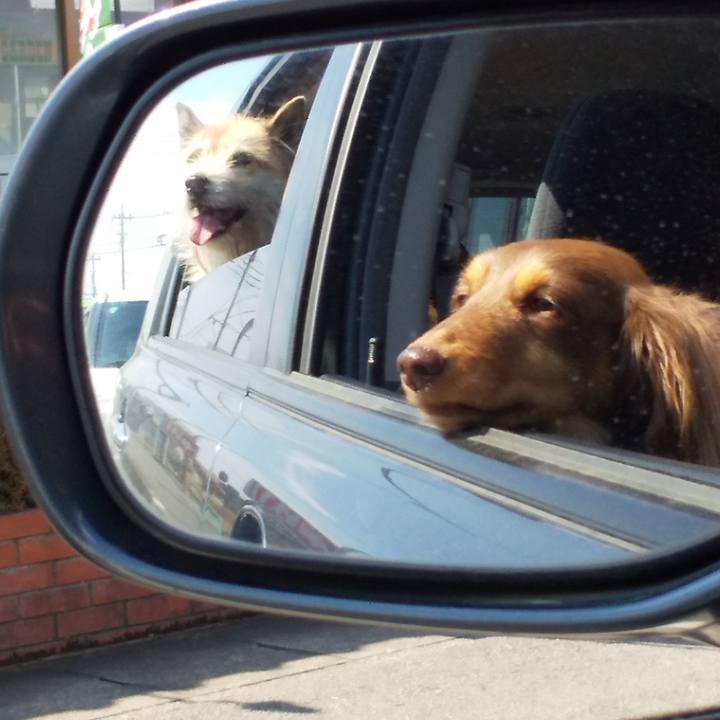 71292644 1678 482d bb09 a55c600efa9f 1553133426370