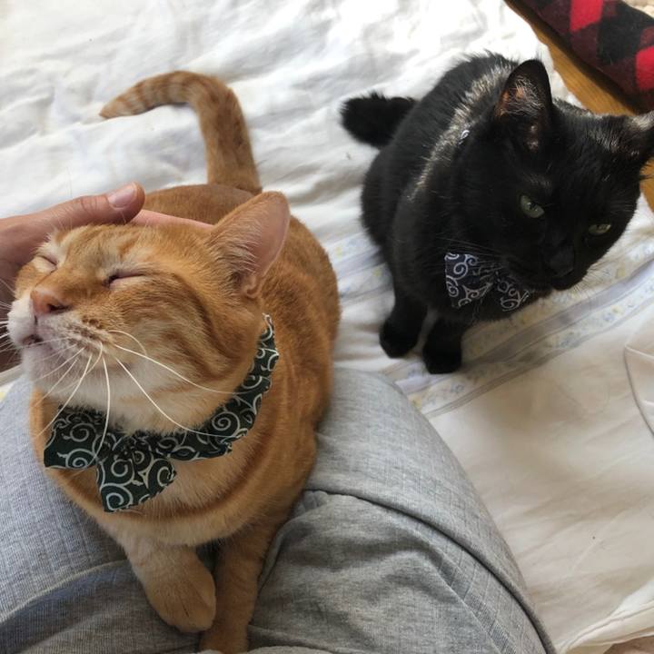 712933d5 9f8b 4041 8290 3603019fce77 1560460607851