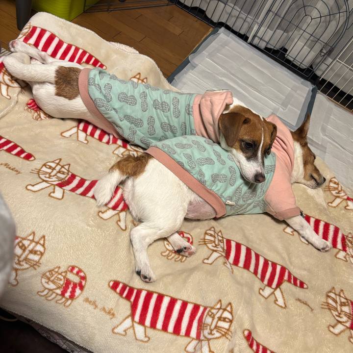 71293a42 b4fc 42fa 93c5 d90643ea658f 1742169142968