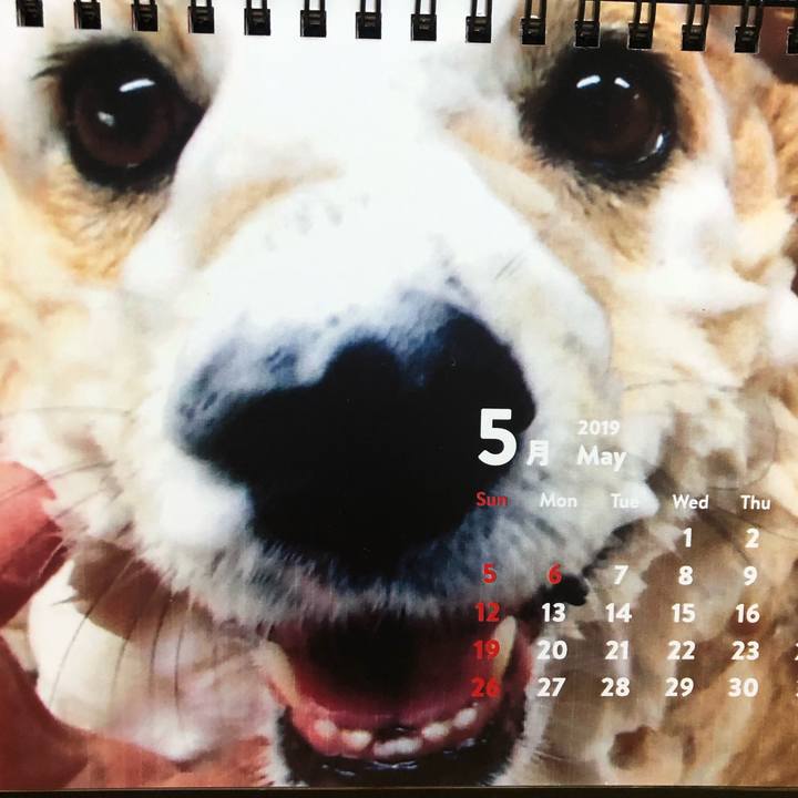 712953bb b2c0 498b bc25 f961512d5131 1557054556564