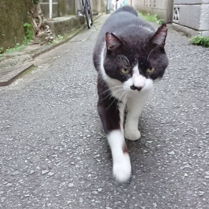 71295a6e 5c1b 4fda 876e cebc15060527 1629546827446