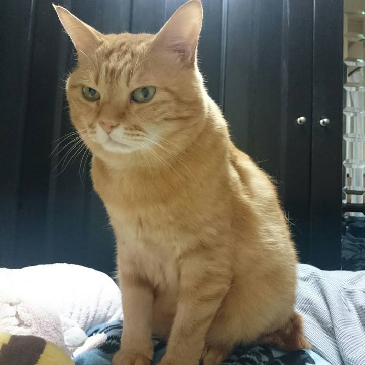 71296998 3572 491c a3da cfcfc8989ac8 1516668841892