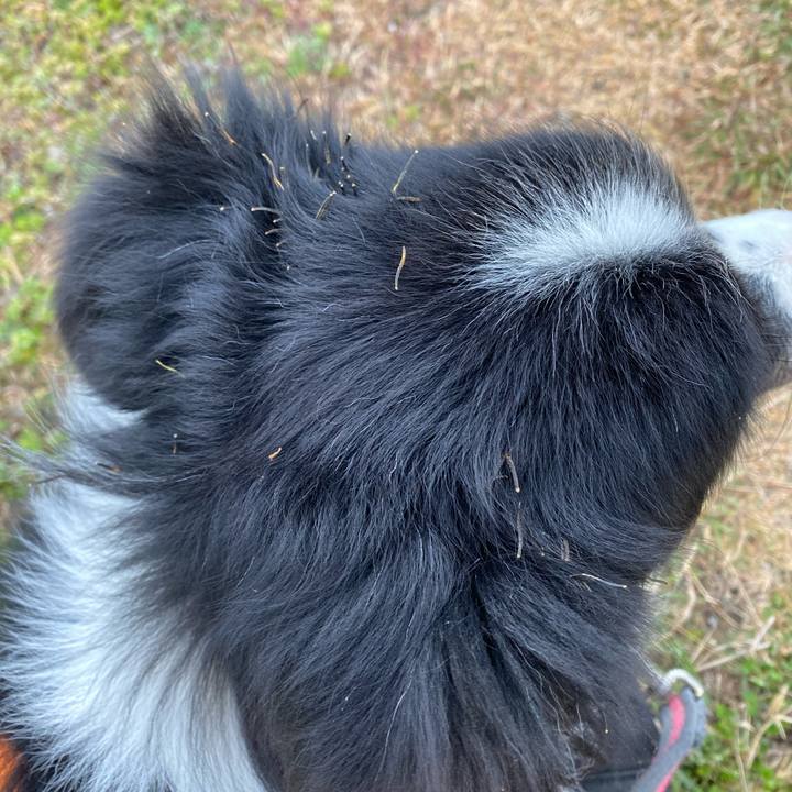 712976bb d457 4e1b 9aa2 0c944b6b4ebf 1608332486423