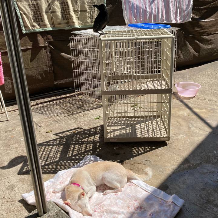 7129a50e 201d 4f70 9209 d596e3db4fa2 1710579847172