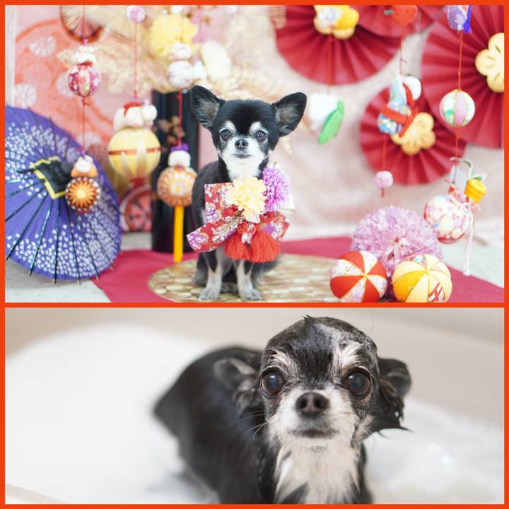 7129b6f6 f609 4621 bfee 5b48c18ed743 1767007982868