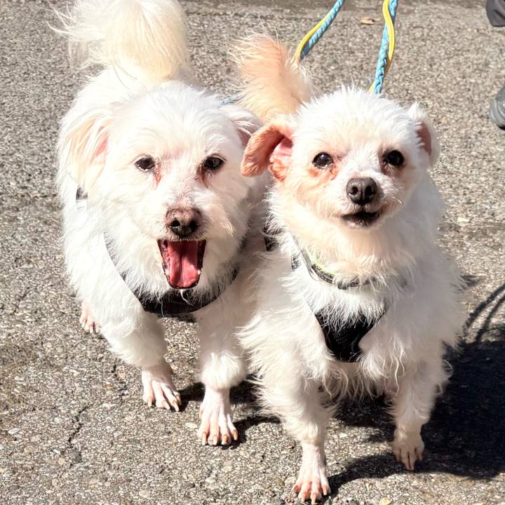 7129ce91 5c28 47cb 8194 760e3523386f 1773980268449