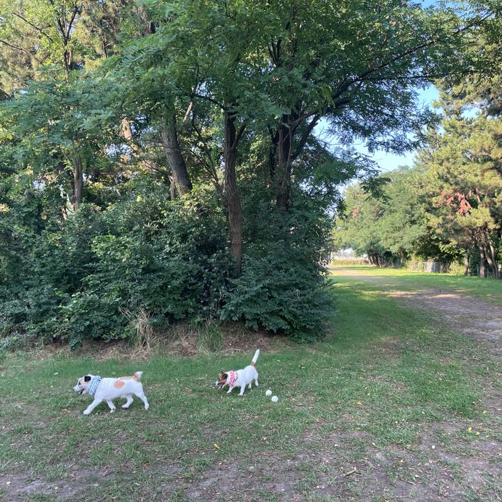 7129d560 b30e 41e5 b90e 1692c3a94bc3 1690411872708