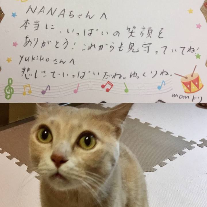 7129e63e 80ef 4e49 854d 4ae464a87be5 1546332369180