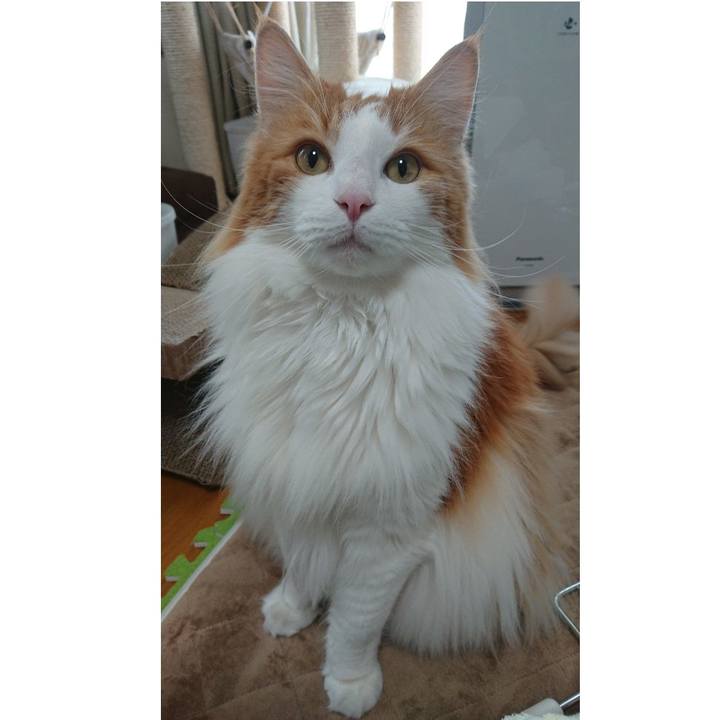 712a2fb6 3bad 430d 9f08 a9c9369adf11 1587869892191