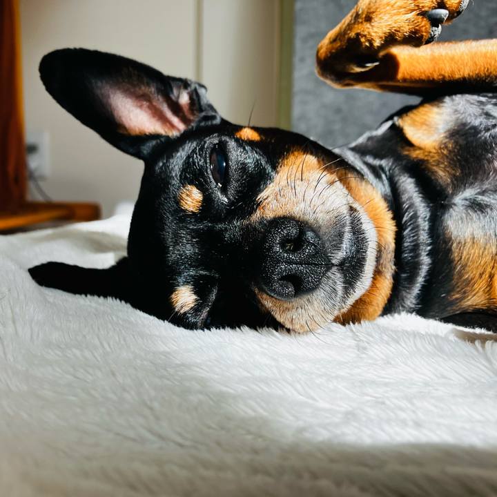 712a368f f199 481d bbf2 ed8df9a62b33 1764888786724