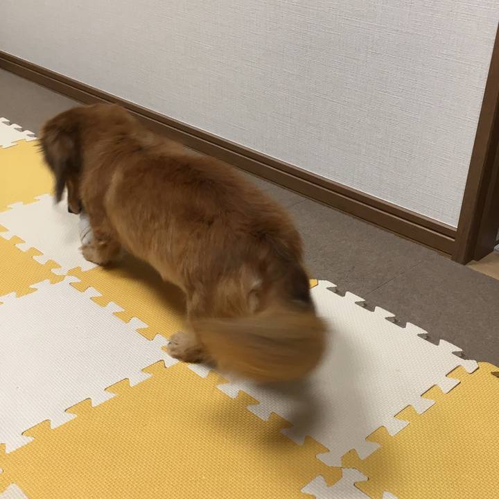 712a4fa7 5c59 4e12 850e e66f464c110b 1537448962202