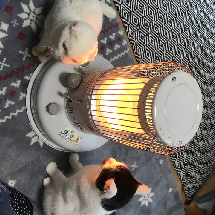 712a6b79 8251 4488 abc4 f216ba14795d 1547018058825