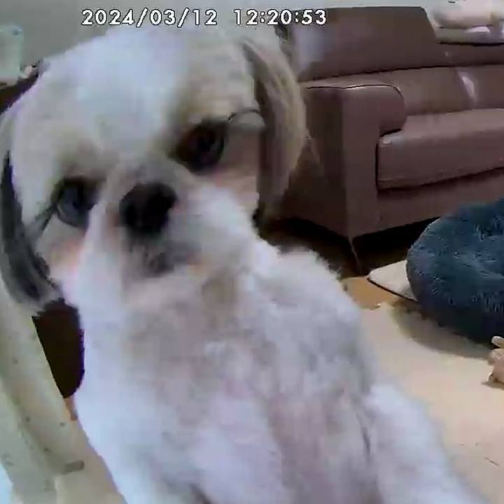 712a6f18 a13c 47c0 b12b 062ba5c45dab 1710474530489