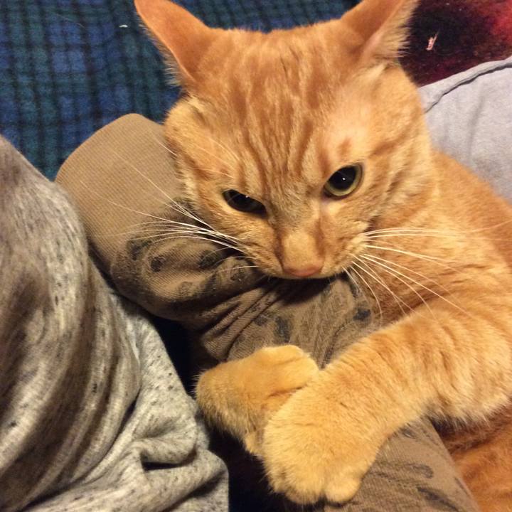 712a8294 29d9 4238 ba7a 5f5c2521ead0 1575039226998