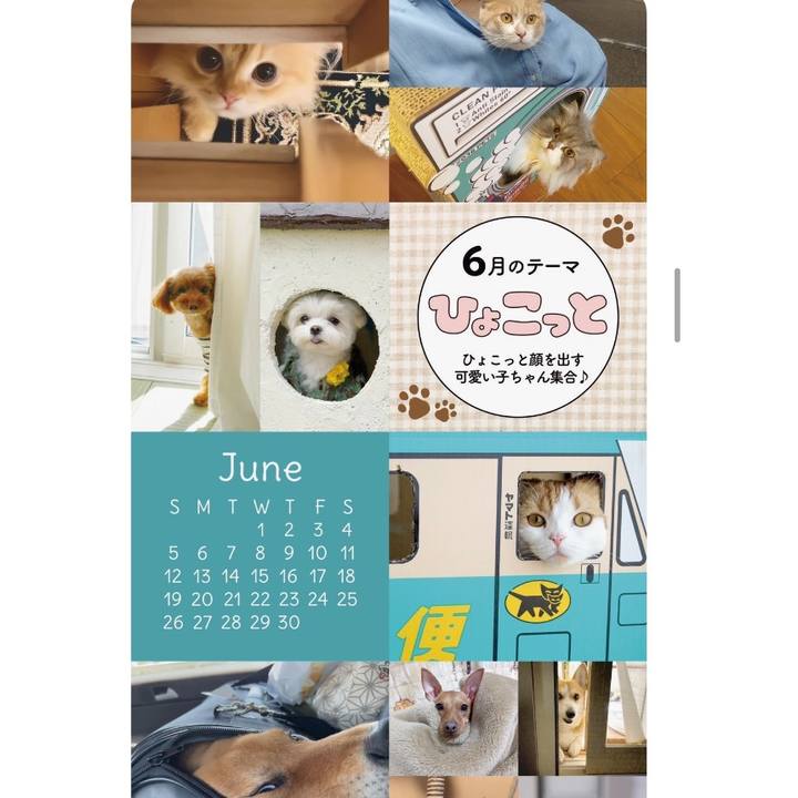 712ae72a b788 40fb 968d 77a35722eeca 1641253047169