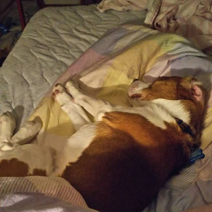 712ae828 3da6 4767 b316 2684522e8e56 1594737432666