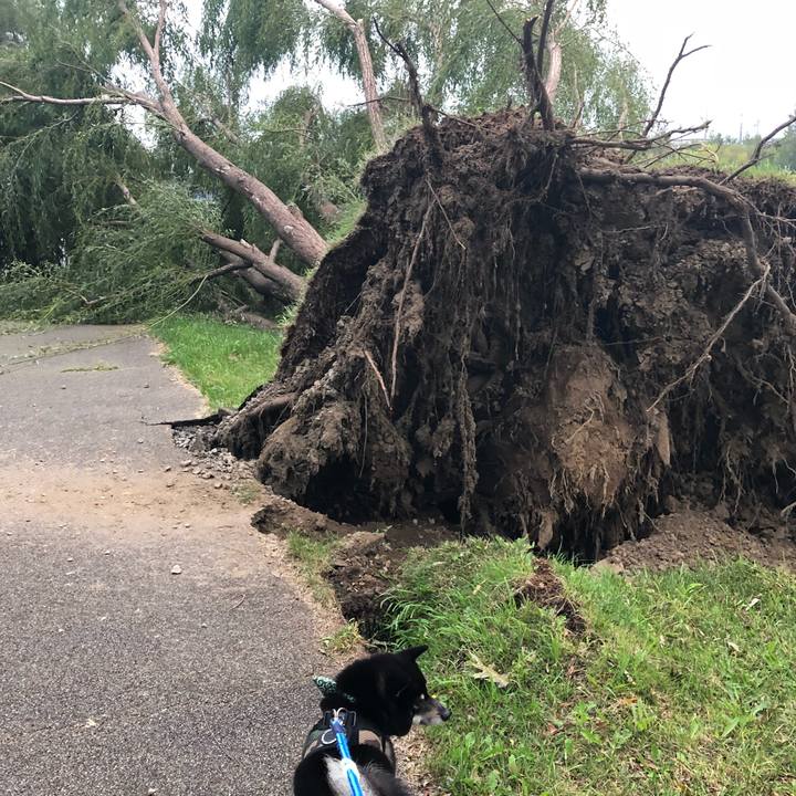 712b17cf 5669 4285 991e 80c4df80afe4 1536363427549